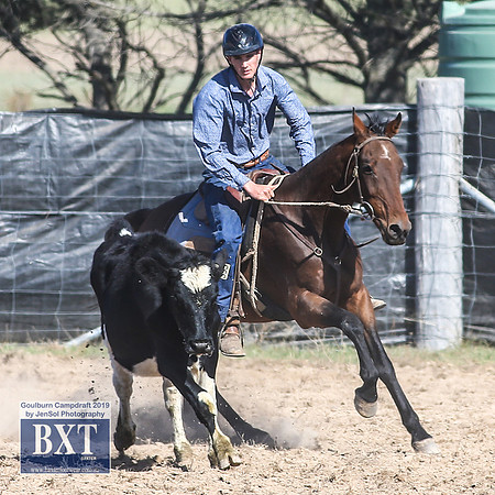GoulburnCampdraft2019_3648