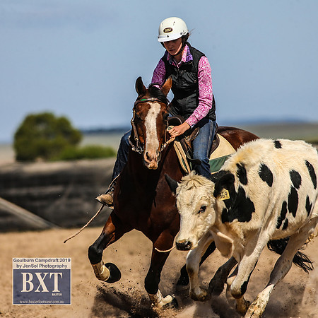 GoulburnCampdraft2019_3969