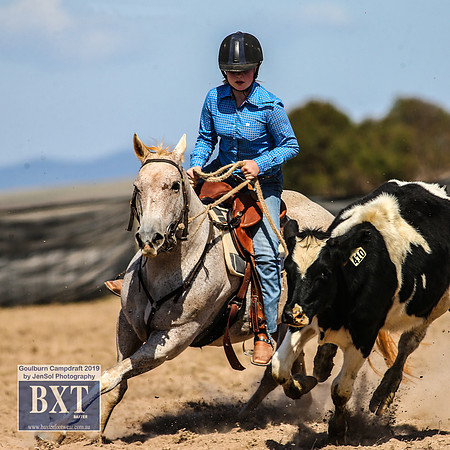 GoulburnCampdraft2019_3908