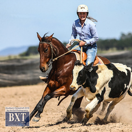 GoulburnCampdraft2019_3925