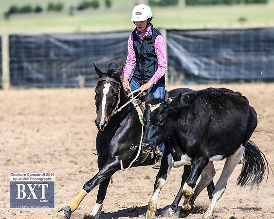GoulburnCampdraft2019_3653