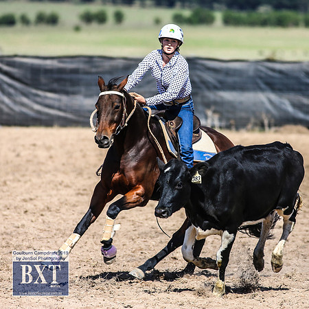 GoulburnCampdraft2019_3701
