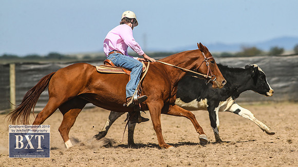 GoulburnCampdraft2019_3897
