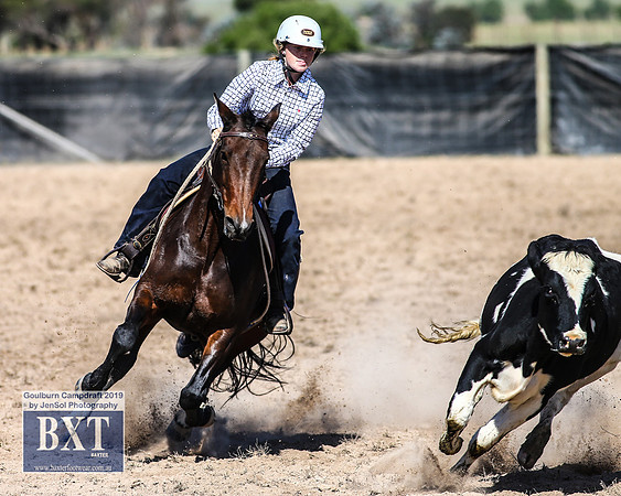 GoulburnCampdraft2019_3678