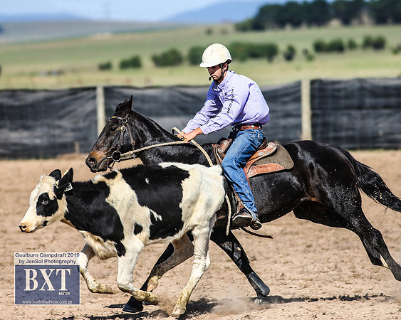 GoulburnCampdraft2019_3595