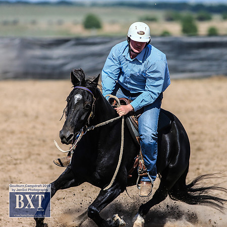 GoulburnCampdraft2019_3778