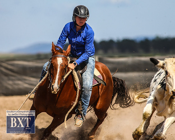 GoulburnCampdraft2019_4009
