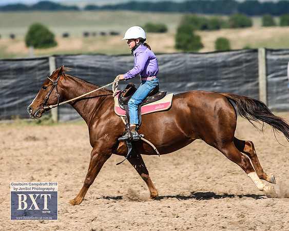 GoulburnCampdraft2019_3530