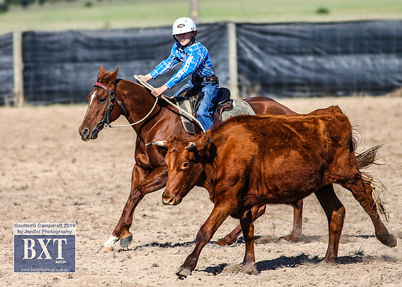 GoulburnCampdraft2019_3393