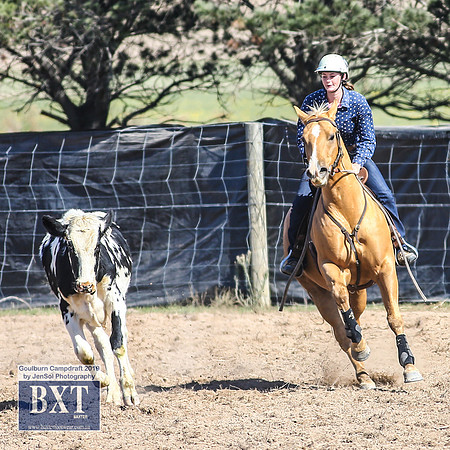 GoulburnCampdraft2019_3849