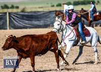 GoulburnCampdraft2019_3396