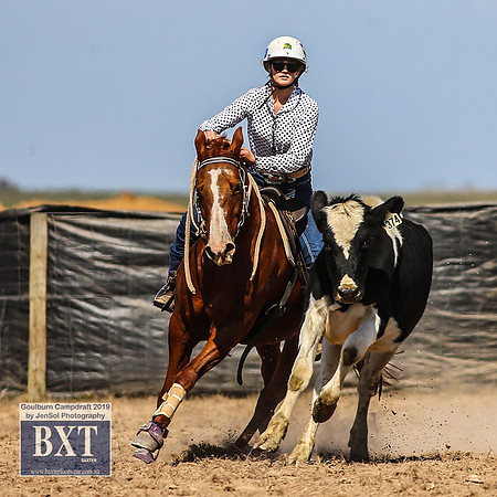 GoulburnCampdraft2019_3960