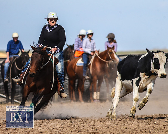 GoulburnCampdraft2019_3903