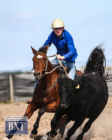 GoulburnCampdraft2019_3993