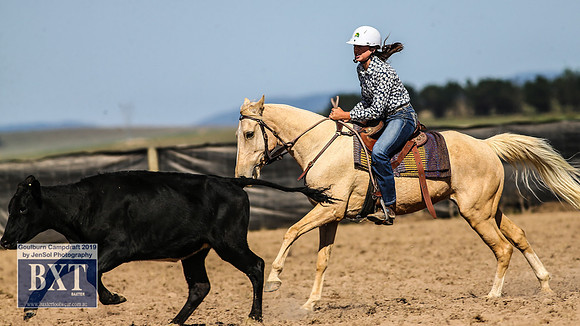 GoulburnCampdraft2019_3750