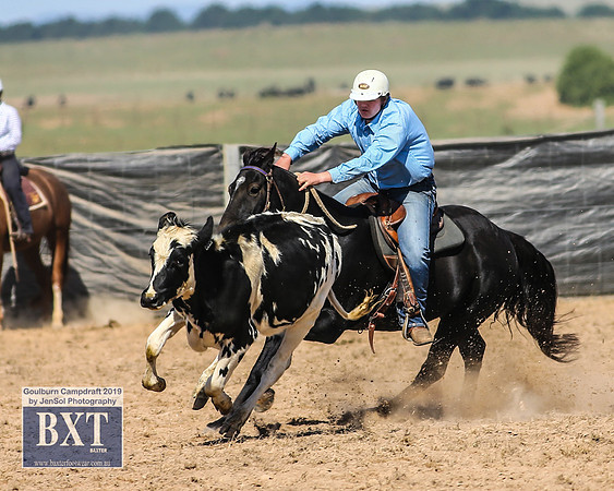 GoulburnCampdraft2019_3808