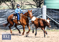 GoulburnCampdraft2019_3435