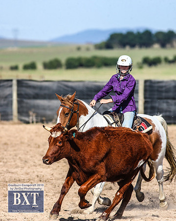 GoulburnCampdraft2019_3512