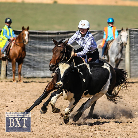 GoulburnCampdraft2019_3693