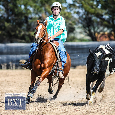 GoulburnCampdraft2019_3980
