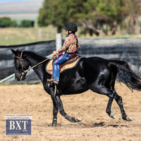 GoulburnCampdraft2019_3485