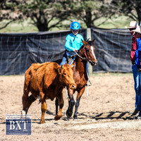 GoulburnCampdraft2019_3495