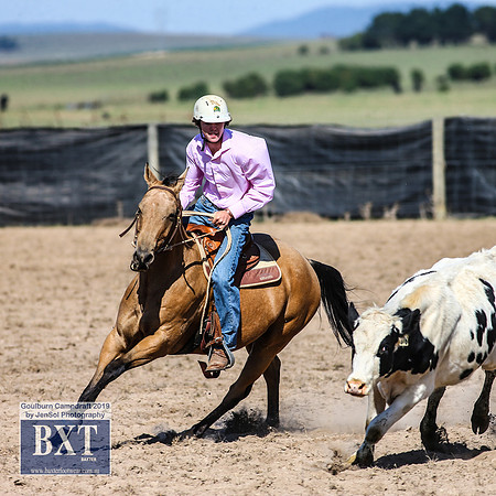 GoulburnCampdraft2019_3622
