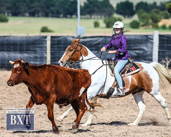 GoulburnCampdraft2019_3507