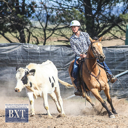 GoulburnCampdraft2019_3985