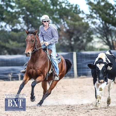 GoulburnCampdraft2019_4046