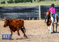 GoulburnCampdraft2019_3460