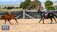 GoulburnCampdraft2019_3455