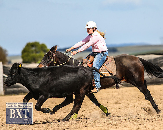GoulburnCampdraft2019_4015