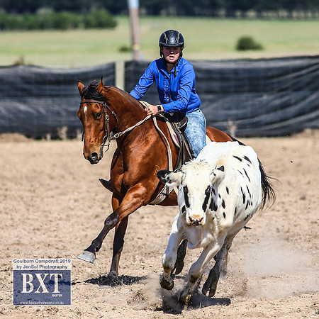 GoulburnCampdraft2019_3826