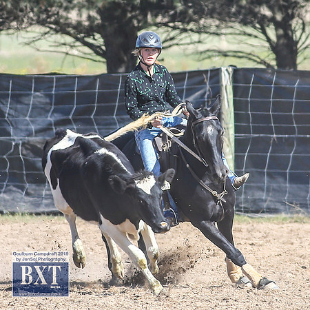 GoulburnCampdraft2019_3867