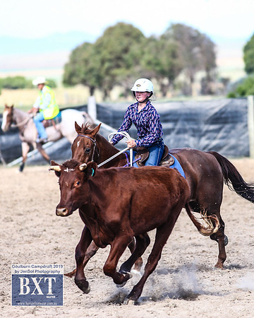 GoulburnCampdraft2019_3566