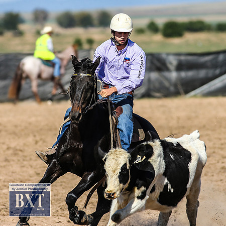 GoulburnCampdraft2019_3600