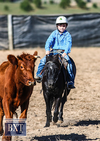 GoulburnCampdraft2019_3409