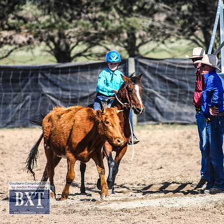 GoulburnCampdraft2019_3494