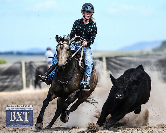 GoulburnCampdraft2019_4021