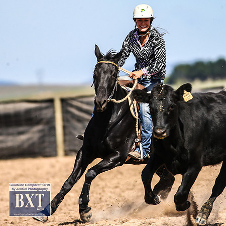 GoulburnCampdraft2019_3935