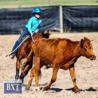 GoulburnCampdraft2019_3488