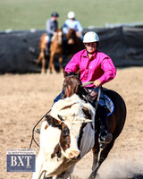 GoulburnCampdraft2019_3475