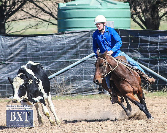 GoulburnCampdraft2019_3768