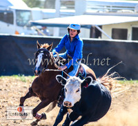 NimmitabelCampdraft2024_0185