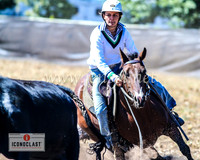 NimmitabelCampdraft2024_0133