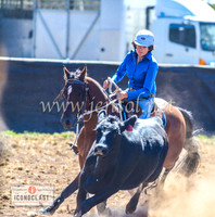 NimmitabelCampdraft2024_0427