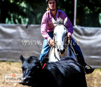 NimmitabelCampdraft2024_0212