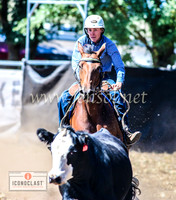 NimmitabelCampdraft2024_0392
