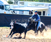 NimmitabelCampdraft2024_0175